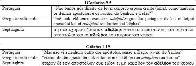 Os irmos literais de Jesus eram, na verdade, seus primos?